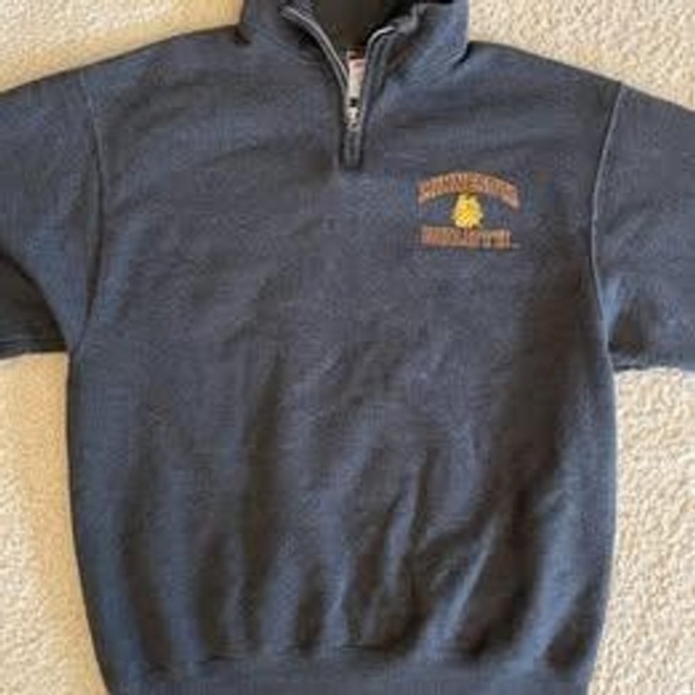 University of Minnesota Duluth UMD 1/4 Neck Sweatshirt Men L